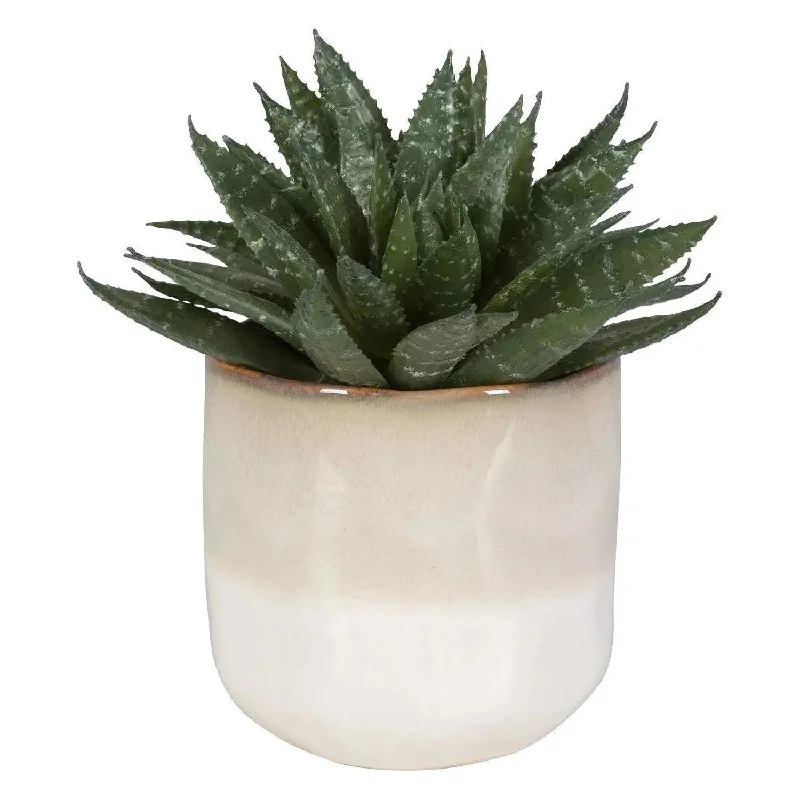 Track lighting with colored glass accentsDoha Succulent Accent