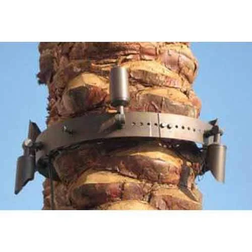 Track lighting with multiple heads for flexibilitySPJ Lighting SPJ-RGD-MR-UNIVERSE 2W Mr-Universe Mounted Tree Ring Track lighting with multiple heads for flexibilitySPJ Lighting SPJ-RGD-MR-UNIVERSE 2W Mr-Universe Mounted Tree Ring