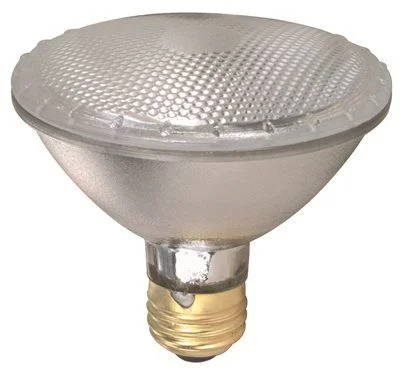 Contemporary track lighting in black finishSatco Halogen Flood Lamp Par30 60 Watts 120 Volts Medium Base Clear 50 Degree Beam Angle Contemporary track lighting in black finishSatco Halogen Flood Lamp Par30 60 Watts 120 Volts Medium Base Clear 50 Degree Beam Angle