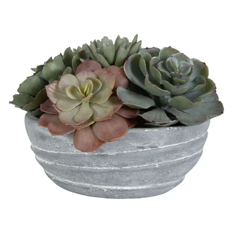 Track lighting for modernizing traditional interiorsPeoria Succulent Accent