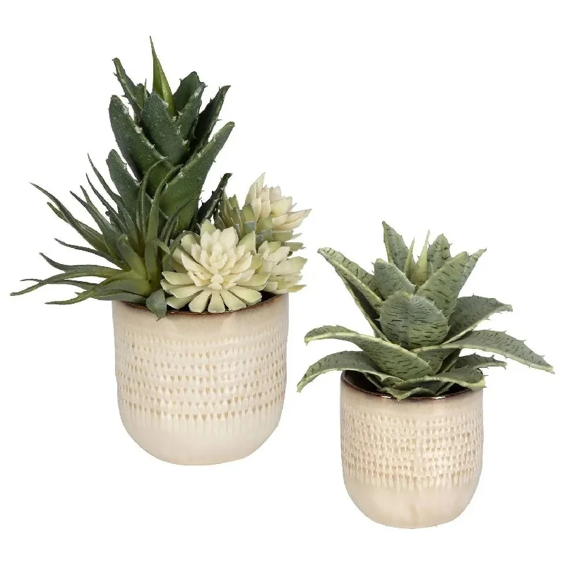 Track lighting with a decorative track designSeaside Succulents Succulents, Set/2