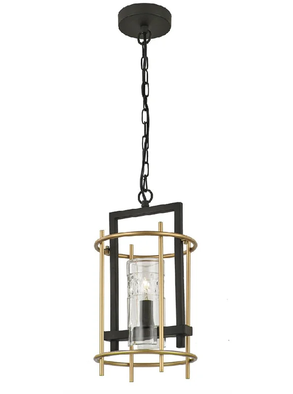Track lighting for rental propertiesBisto 1 light Pendant - Antique Iron Finish