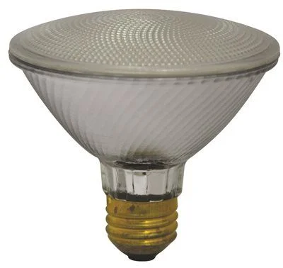 Dimmable track lighting for home officesSylvania Capsylite Halogen Flood Lamp Par30 50 Watt 120 Volts Medium Base Double Life Dimmable track lighting for home officesSylvania Capsylite Halogen Flood Lamp Par30 50 Watt 120 Volts Medium Base Double Life