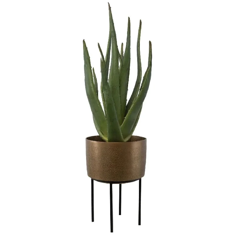 Track lighting with a minimalist track designArabia Planter