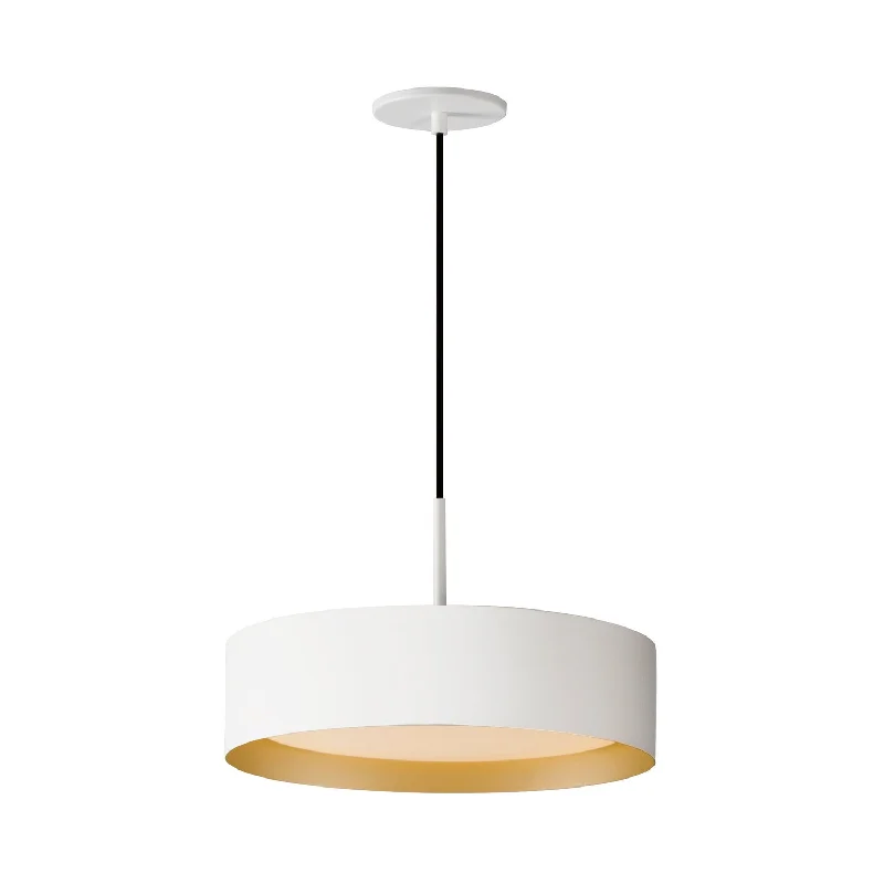 Glass Ceiling Lights with Frosted, Colored, or Etched GlassGlass Ceiling Lights with Frosted, Colored, or Etched GlassEcho LED Pendant