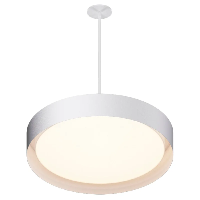 Industrial Style Ceiling Lights with Exposed Bulbs and Metal CagesIndustrial Style Ceiling Lights with Exposed Bulbs and Metal CagesEcho LED Pendant