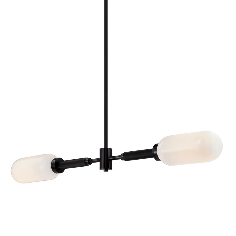 Scandinavian Style Ceiling Lights with Light Wood AccentsScandinavian Style Ceiling Lights with Light Wood AccentsTroy Annex F7356-AN Pendant Light - Anodized Black