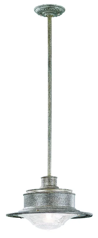 Victorian - Inspired Ceiling Lights with Ornate Crystal ChandeliersVictorian - Inspired Ceiling Lights with Ornate Crystal ChandeliersTroy South Street F9396OG Pendant Light - Old Galvanized